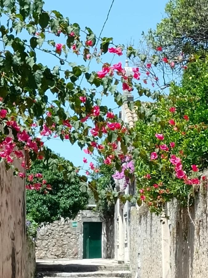 Seaview Dubrovnik Old Town 아파트 외부 사진